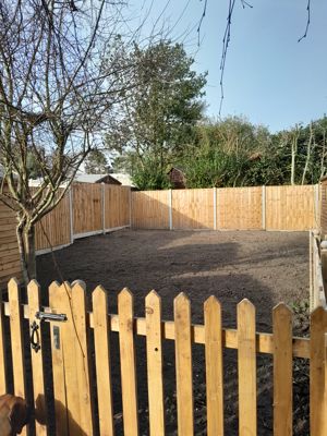 Garden- click for photo gallery